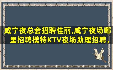 运城酒吧招聘